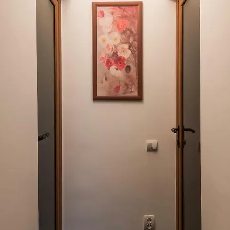Апартаменты Brezoianu Hause